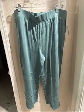 L.L. Bean Sea Pine Women’s Pants 2X NWT
